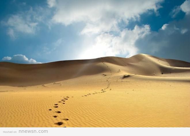 صحراء ثار الهند معلومات عن صحراء ثار بالهند بالصور