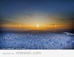 غابة جليد بالقطب الشمالي 300x230 صور غابات السنوبر المتجمدة في القطب الشمالي