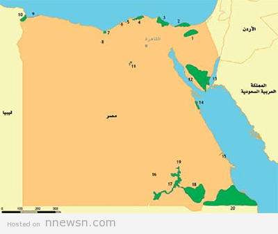 خريطة النبات مصر